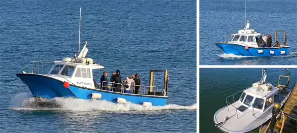 Charter Boat 'Blue Turtle'